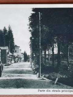 Carte postala, Baia Borsec, strada principala, 1931