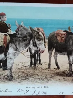 Carte postala, baiat cu trei catari, inceput de secol XX