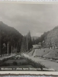 Carte Postala, Baile Slanic Moldova, Aleea spre Izvoarele Minerale, 1937