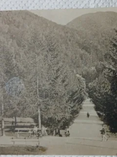 Carte Postala, Baile Slanic Moldova, Parcul, perioada interbelica