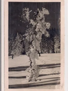 Carte postala circulata in 30 martie 1918