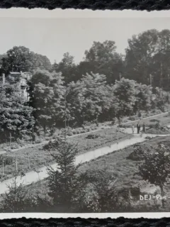 Carte Postala, Dej, Parcul, perioada interbelica