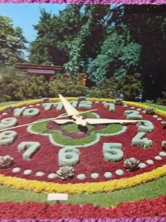 Carte postala, Geneva, Horologiul Floral, 1966