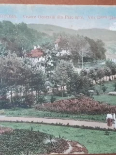 Carte postala, Govora, vedere generala din Parc spre vila Dtoru Taranu, perioada interbelica