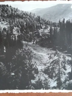 Carte postala, Ilva Mică, Bistrita-nasaud, 1943