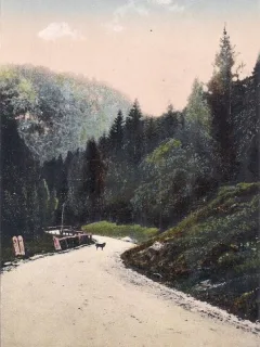 Carte postala necirculata din perioada interbelica