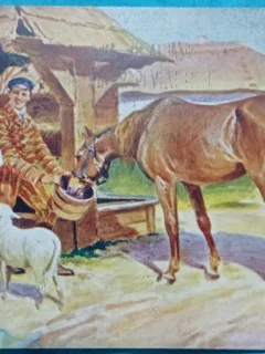 Carte Postala, Port traditional polonez, 1937