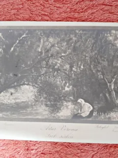 Carte postala, reproducere dupa tabloul Sub Salcii/artur Verona, 1923