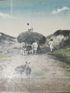 Carte postala, Romania, vedere la tara, perioada interbelica