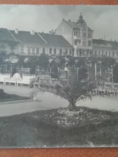 Carte postala, Satu Mare, Parc, perioada interbelica
