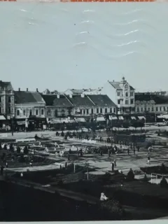 Carte postala, Satu Mare, vedere generala, 1910