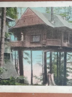 Carte postala, Sinaia, Cuibul Printesei, 1927