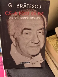 Ce-a fost sa fie , G. Bratescu