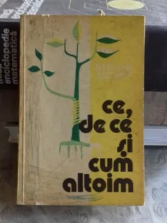 CE, DE CE SI CUM ALTOIM - STELIAN BECHET