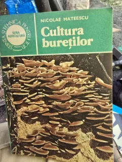 Cultura buretilor - Nicolae Mateescu