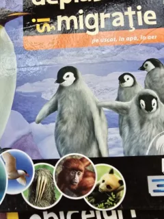 Deplasare si migratie pe uscat, in apa, in aer  vol.4