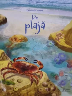 Descopar lumea pe plaja
