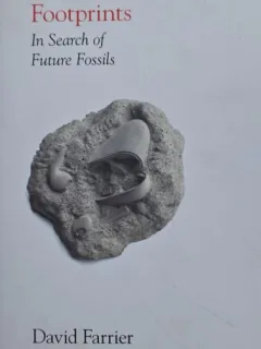 Footprints. In Search of Future Fossils - David Farrier