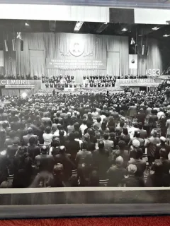 Fotografie, Nicolae si Elena Ceausescu la Congresul Partidului Comunist Roman