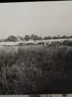 Fotografie, Dudestii Vechi, perioada interbelica