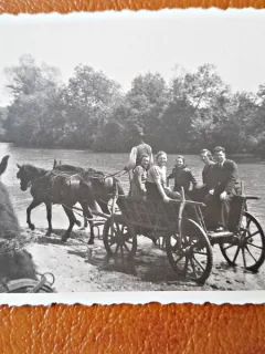 Fotografie plimbare cu caruta la Buolbucata, 1941