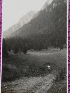 Fotografie, Poiana Costilei, spre Omul prin Valea Cerbului, august 1930