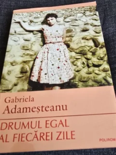 Gabriela Adamesteanu - Drumul egal al fiecarei zile