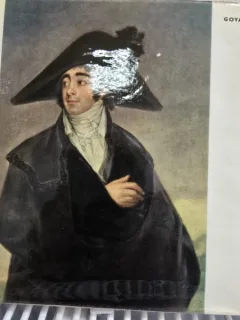 Goya - Albert Skira