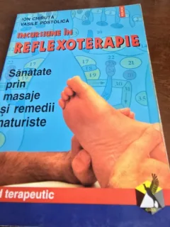 Incursiune in reflexoterapie - Ion Chiruta