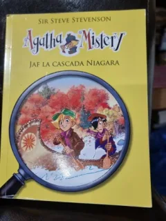 Jaf la Cascada Niagara - Sir Steve Stevenson