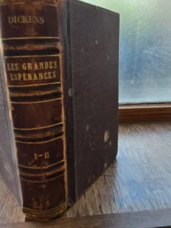 Les grandes esperances - Charles Dickens 1877 tome 1+2 coligate