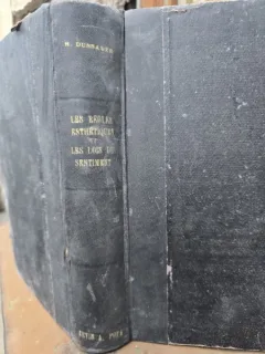 Les regles esthetiques et les lois du sentiment - Henri Dussauze