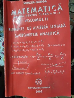 MATEMATICA - MIRCEA GANGA  Vol.II