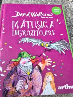 Matusica ingrozitoare - David Walliams