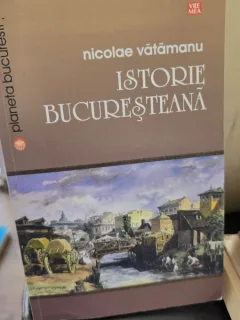 Nicolae Vatamanu - Istorie bucuresteana