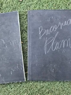 Plumb - Bacovia  cu linogravuri semnate