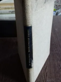 PROBLEME DE DREPT - MIRCEA GEORGESCU