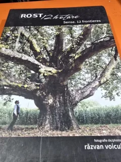 Razvan Voiculescu - Rost. 12 hotare (editie bilingva)