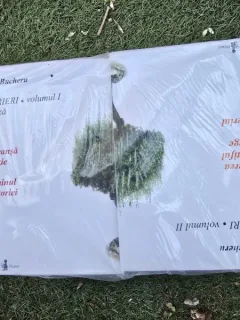 Scrieri - Ion Bucheru volumul 1+2