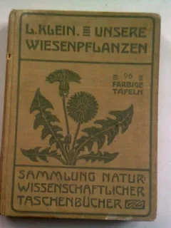 UNSERE WIESENPFLANZEN - L. KLEIN   (RESURSELE NOASTRE)