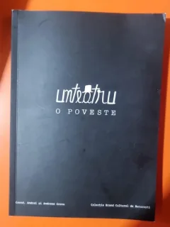 Unteatru, o poveste - Andrei si Andrea Grosu