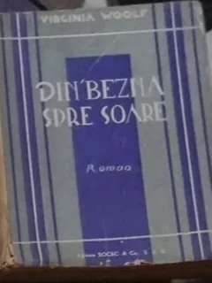 Virginia Woolf - Din Bezna Spre Soare