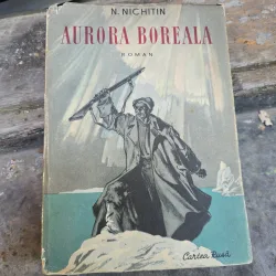 Aurora Boreala - N. Nichitin