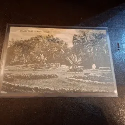 Carte postala , Buzias parc , alb negru - (circulata)