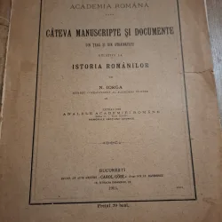 Câteva manuscrise și documente din țară și din străinătate relative la istoria românilor - N. Iorga