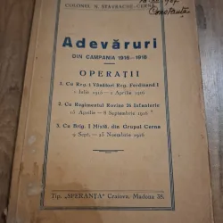Adevăruri din campania 1916-1918 - Colonel N. Stavrache-Cerna