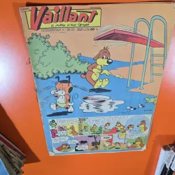 Vaillant - an 15