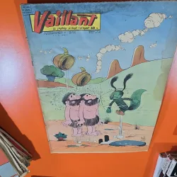 Vaillant nr.686 an 14