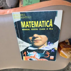 Matematică - Mihail Roșu, Niculina Ilariu