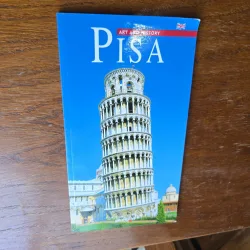 Pisa, art and history - Roberta Donati